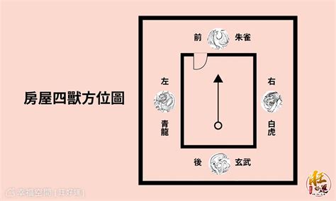 龍動虎靜|【開運風水DIY③】方位的法則 